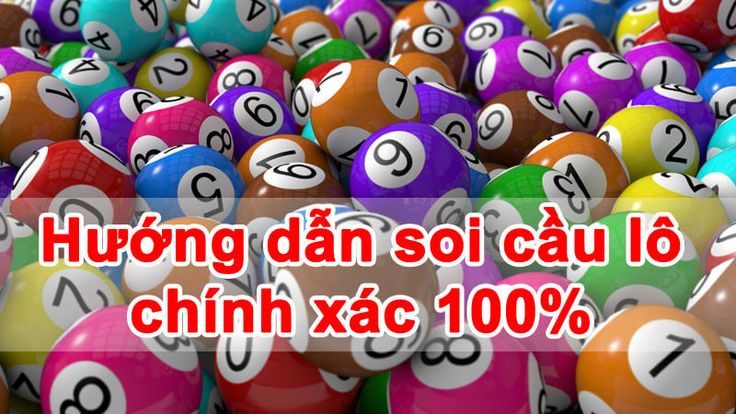 hướng dẫn nuôi đề 3 càng dễ về nhất