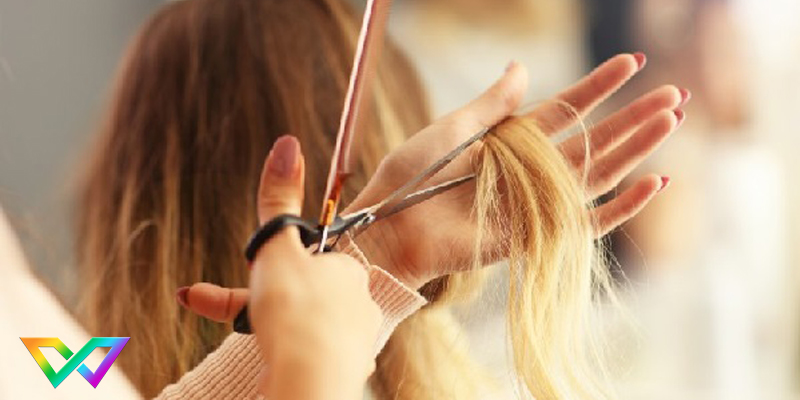 mo-cat-toc-la-diem-bao-gi-3