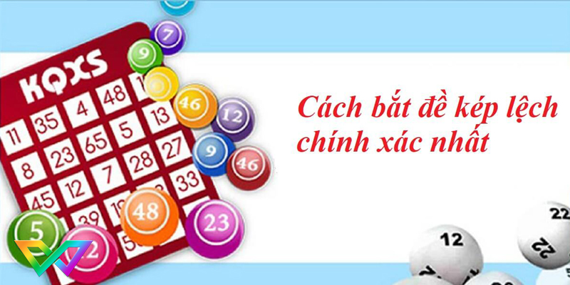 kinh-nghiem-soi-dan-de-kep-lech-3