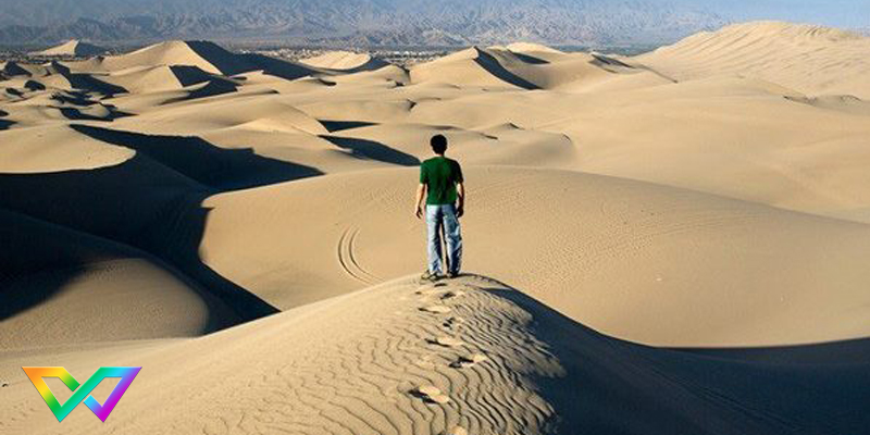 mo-lac-duong-la-diem-bao-gi-3