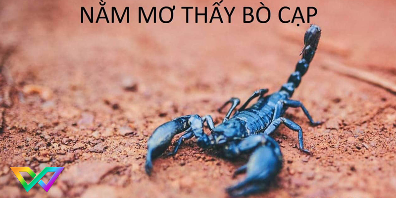 ngu-mo-thay-bo-cap-la-tot-hay-xau