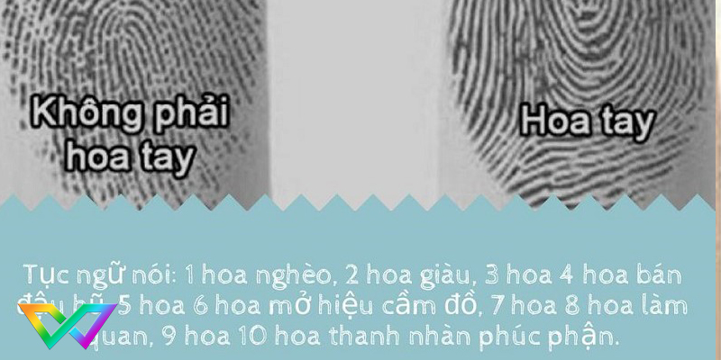 xem-boi-hoa-tay-biet-van-menh-giau-sang-1